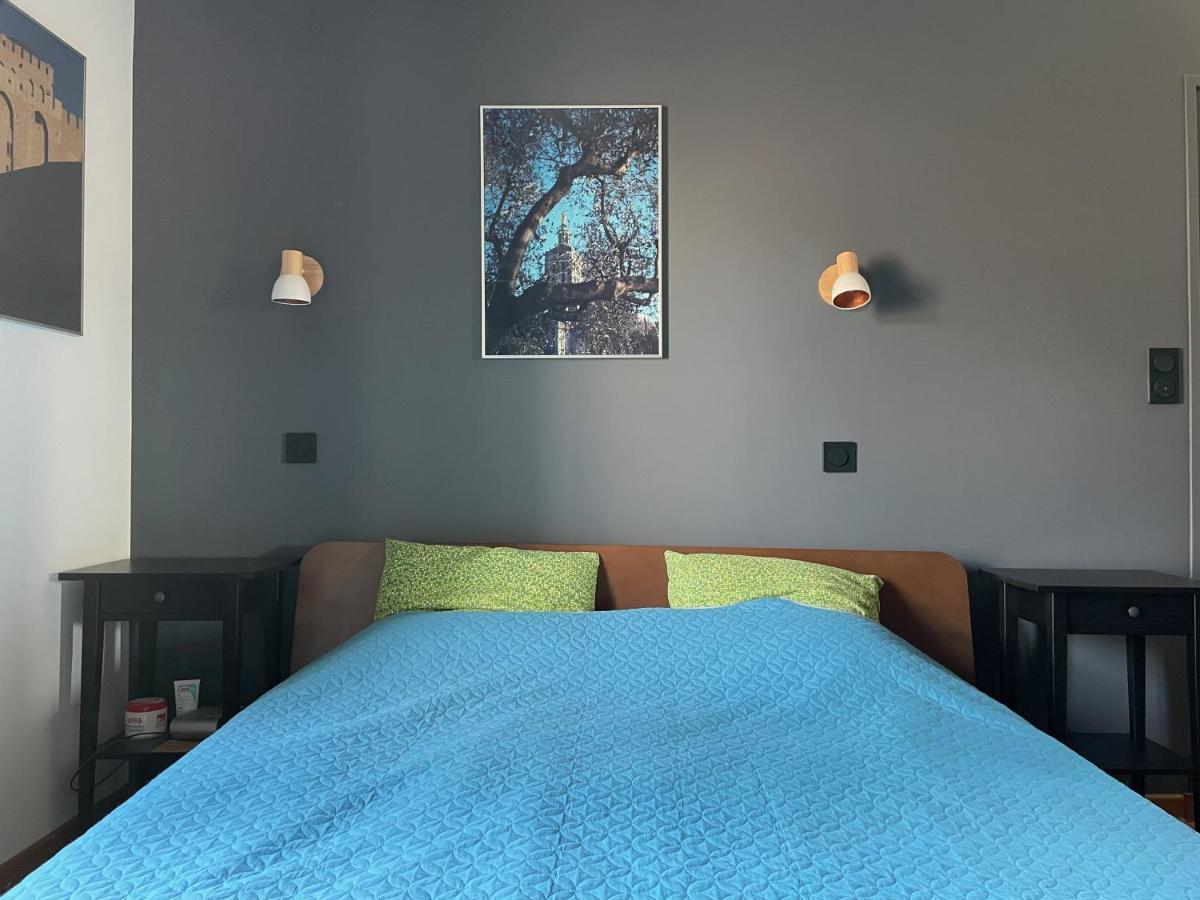 Apartamento L'Atypique - T3 Grande Terrasse, Bbq Vue Et Cheminee Aviñón Exterior foto